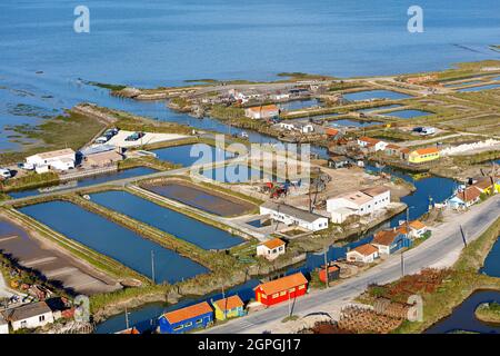 En France, en Charente Maritime, Dolus d'Oleron, La Baudissiere, coloré Oyster Farms (vue aérienne) Banque D'Images