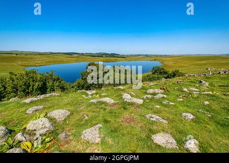 France, Lozère, Marchastel, route de Saint-Jacques-de-Compostelle sur le plateau de l'Aubrac classé au patrimoine mondial par l'UNESCO, le lac de Saint-Andéol, vers les Nasbinals, Parc naturel régional Aubrac, (Parc naturel régional de l'Aubrac) Banque D'Images