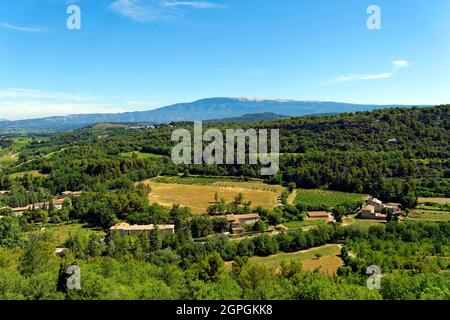 France, Vaucluse, Venasque, les plus Beaux villages de France (les plus beaux villages de France), les montagnes du Vaucluse, le Mont Ventoux en arrière-plan Banque D'Images