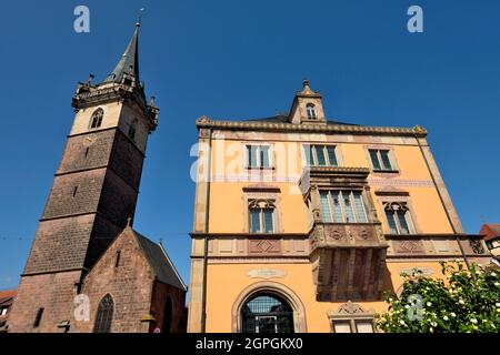 France, Bas Rhin, Obernai, place du marché, hôtel de ville, felfrite Banque D'Images