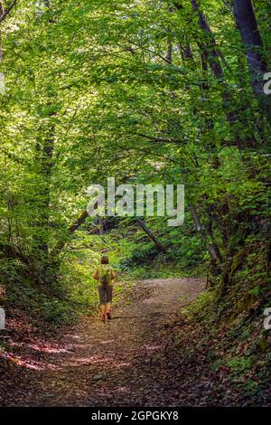 France, Isère, environs de Grenoble, Murianette, randonnée dans la forêt de Combeloup Banque D'Images