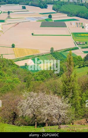 France, Isere, environs de Grenoble, vue panoramique depuis Venon sur la vallée de Gresivaudan Banque D'Images