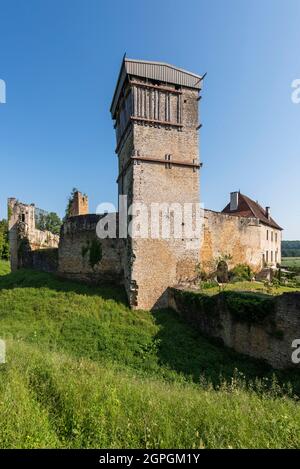 France, haute Saône, Oricourt, château médiéval d'Oricourt du XIIe siècle Banque D'Images