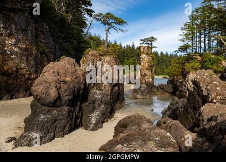 Magnifique baie San Josef, parc provincial Cape Scott, île de Vancouver, C.-B., Canada Banque D'Images