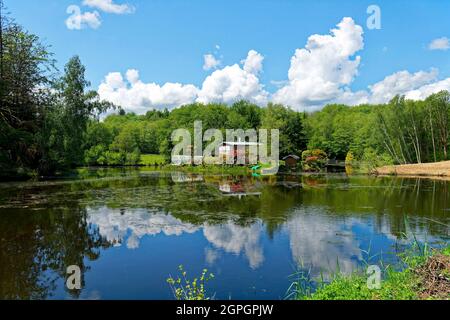 France, haute Saone, plateau des mille étangs (plateau des mille étangs), Ecromagny Banque D'Images