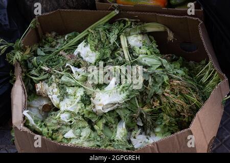 Les lettres gâchées sont dans une boîte de carton poubelle. Déchets d'atelier de légumes, produits pourris Banque D'Images