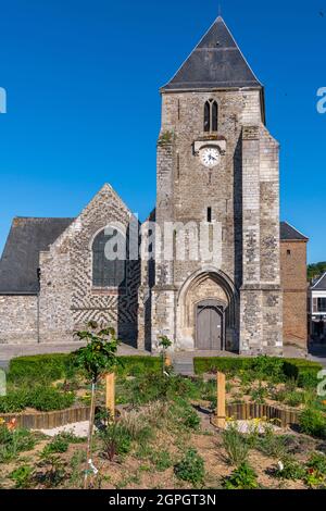 France, somme (80), Baie de la somme, Saint-Valery-sur-somme, la vieille ville, Église Saint-Martin Banque D'Images