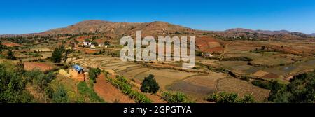 Madagascar, Hautes-terres centrales, ancienne province d'Antananarivo, région de Vakinancaratra, entre Betafo et Antsirabe, rizières dans le pays du groupe ethnique Betsileo Banque D'Images