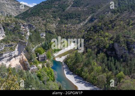 France, Lozère, la Malène, Château de la Caze, Causses et Cévennes, Paysage culturel de l'agro-pastoralisme méditerranéen classé patrimoine mondial par l'UNESCO Banque D'Images