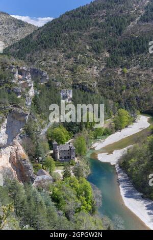 France, Lozère, la Malène, Château de la Caze, Causses et Cévennes, Paysage culturel de l'agro-pastoralisme méditerranéen classé patrimoine mondial par l'UNESCO Banque D'Images