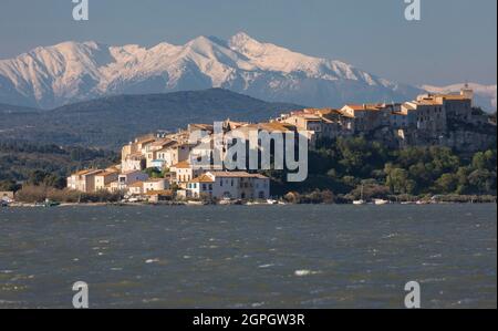 France, Aude, Bages, Parc naturel régional de Narbonnaise, le village et le massif enneigé du Canigou Banque D'Images