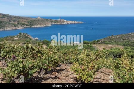 France, Pyrénées-Orientales, Port-Vendres, la côte près de Cap Bear Banque D'Images