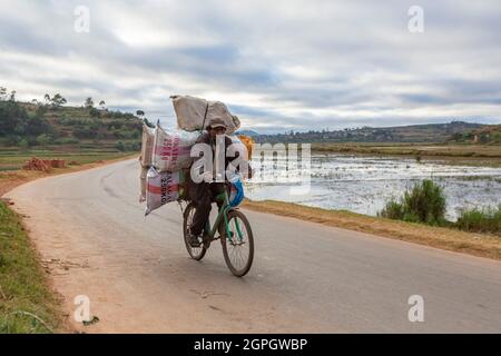 Madagascar, Hautes-terres centrales, ancienne province d'Antananarivo, région de Vakinancaratra, entre Betafo et Antsirabe, rizières dans le pays du groupe ethnique Betsileo Banque D'Images