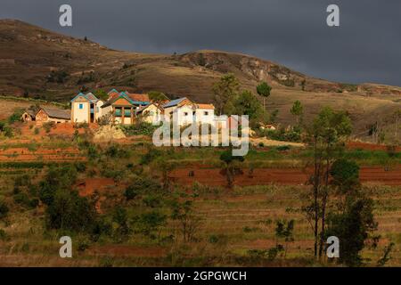 Madagascar, Hautes-terres centrales, ancienne province d'Antananarivo, région de Vakinancaratra, entre Betafo et Antsirabe, rizières dans le pays du groupe ethnique Betsileo Banque D'Images