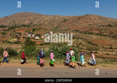 Madagascar, Hautes-terres centrales, ancienne province d'Antananarivo, région de Vakinancaratra, entre Betafo et Antsirabe, rizières dans le pays du groupe ethnique Betsileo Banque D'Images