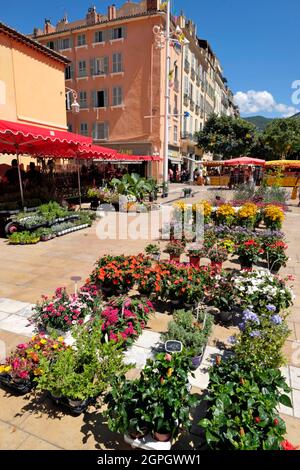France, Var, Toulon, cours Lafayette, devant l'église Saint François de Paule, le marché Banque D'Images