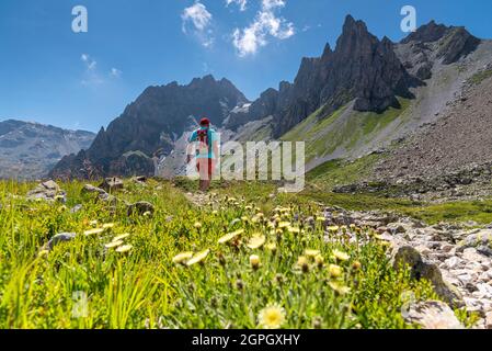 France, haute-Savoie (74), massif du Mont blanc, les Contamines Montjoie, Col de la fenêtre, randonneur descendant vers la GR5 depuis le Col de la fenêtre (2250m) Banque D'Images