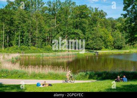 France, Val d'Oise, Saint-Prix, lac du Château de la chasse, Forêt de Montmorency Banque D'Images