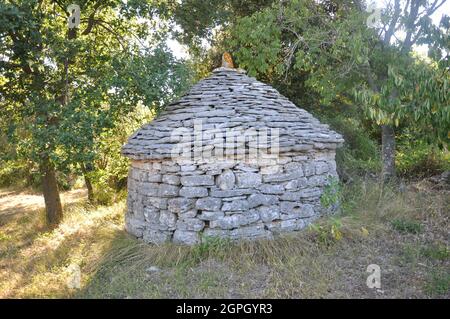 L'Istrie, Croatie. Un kazun (kažun), un traditionnel en pierre circulaire en pierre sèche bâtiment utilisé comme un abri de berger Banque D'Images