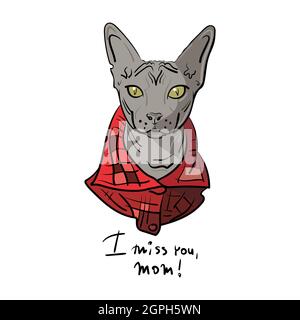 Chat Sphynx dessiné à la main dans une chemise rouge. Lettrage Je me manque vous maman. Illustration vectorielle. Illustration de Vecteur
