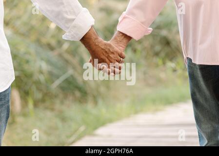 Heureux homme gay couple tenant les mains tout en appréciant une promenade ensemble dans la nature. Banque D'Images