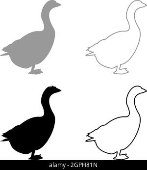 Goose Gosling Geese Anser Gander silhouette gris noir couleur vecteur illustration image de style de contour plein Illustration de Vecteur