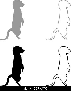 Meerkat en pose Suricata suricatta silhouette gris noir couleur vecteur illustration image de style de contour solide Illustration de Vecteur