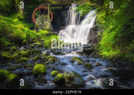 Rochers mousseux dans le ruisseau menant à la roue d'eau et à la chute d'eau dans le parc forestier de Glenariff, Antrim, Irlande du Nord. Exposition longue durée et mise au point douce Banque D'Images