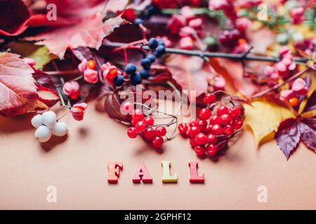 Mot écrit d'automne disposé par des feuilles d'automne et des baies rouges bleues. Décoration de saison. Banque D'Images