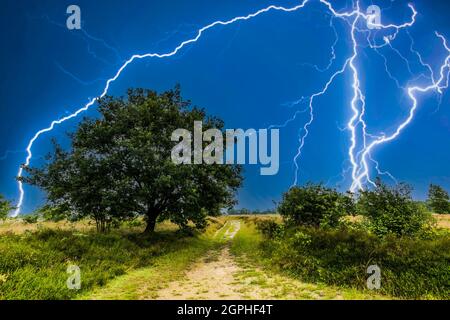 Montage du paysage naturel Balloërveld dans la province néerlandaise de Drenthe avec des orages très violents et des éclairs violents Banque D'Images