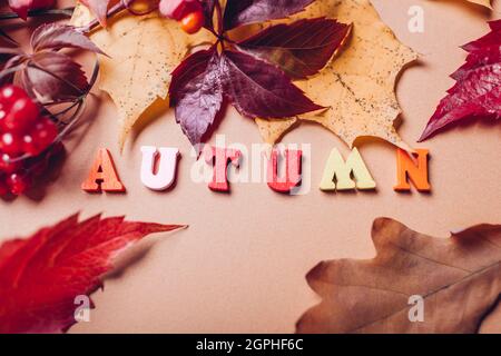 Mot écrit d'automne disposé par des feuilles d'automne et des baies rouges. Décoration d'automne fleurie de saison. Lettres en bois colorées Banque D'Images