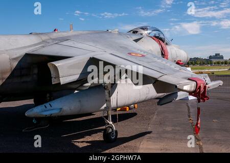 L'avion de chasse Harrier II de la Marine espagnole McDonnell Douglas EAV-8B au salon aéronautique international de Farnborough, avec site historique de l'établissement Royal Aircraft Banque D'Images