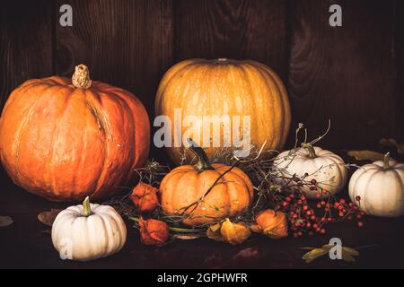 Citrouilles de différentes tailles et couleurs avec décorations d'automne devant un mur en bois, espace de copie Banque D'Images