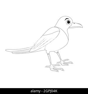 Jeu d'illustrations pour le contour de l'oiseau Magpie . Motif ornithologie animal de corbeau debout. Clip art vectoriel isolé sur fond blanc. Illustration de Vecteur