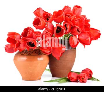 Bouquet de beauté de tulipes rouges dans une carafe d'argile vintage isolée sur fond blanc Banque D'Images