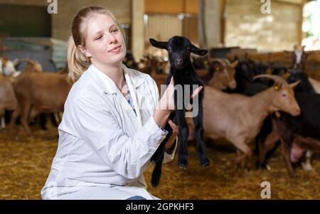 Femme vétérinaire examine une goatlings à la ferme Banque D'Images