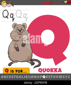 Lettre Q de l'alphabet avec personnage animal de la bande dessinée quokka Illustration de Vecteur