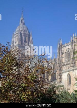 TORRE DE LA CATEDRAL NUEVA Y CIMBORRIO DE LA TORRE DEL GALLO. Emplacement: CATEDRAL NUEVA. SALAMANQUE. ESPAGNE. Banque D'Images