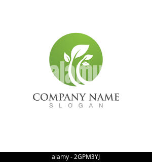 Logos de l'écologie verte des feuilles d'arbre Illustration de Vecteur