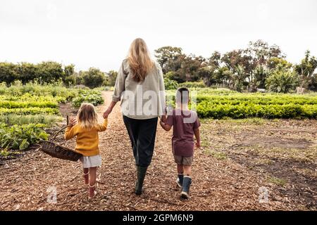 Mère célibataire marchant vers un champ agricole avec ses enfants. Vision d'une mère qui récolte avec ses enfants sur une ferme biologique. Autosu Banque D'Images