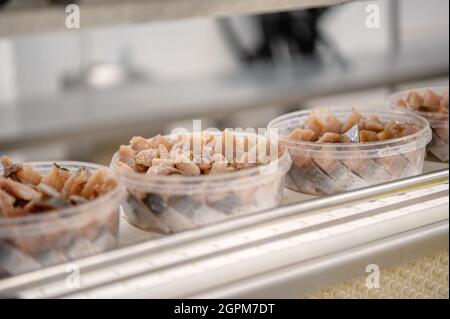 Filets de hareng marinés dans des boîtes en plastique sur un tapis roulant. Banque D'Images