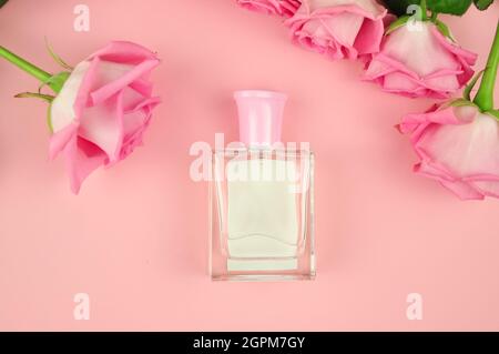 Parfum rose sur fond rose avec fleurs fraîches pour femme . Photo de haute qualité Banque D'Images