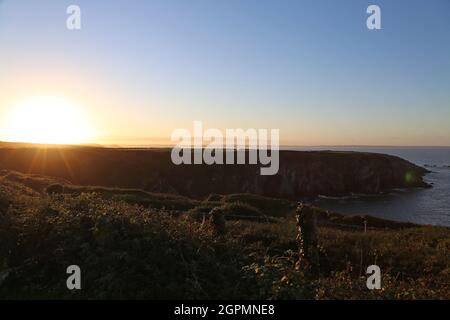 Camping Caerfai Farm, baie Caerfai, St Davids, Pembrokeshire, pays de Galles, Royaume-Uni, Royaume-Uni, Europe Banque D'Images