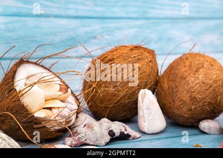 Noix de coco et coquillages sur fond bleu en bois .thème marin. Banque D'Images