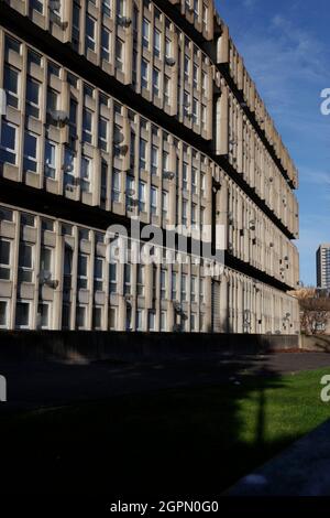 Robin des Bois Gardens (aujourd'hui abandonné), Poplar, Londres, Royaume-Uni Banque D'Images