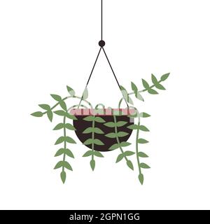 Maison plante pothos dans pot suspendu, jardin intérieur, maison ou bureau décoration intérieure illustration vectorielle. Paon vert potté de la maison pothos isolé sur blanc Illustration de Vecteur
