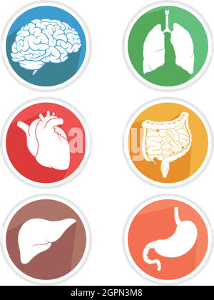 Human Internal Organ Icon Body Parts Symbol Illustration dessin Illustration de Vecteur