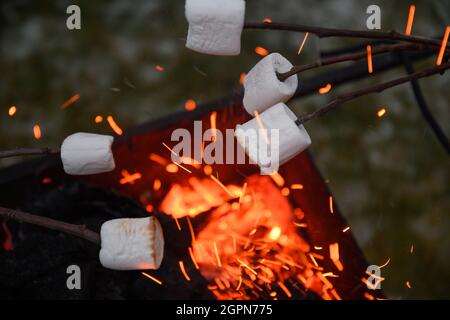 Torréfaction et cuisson du guimauve sur un feu le soir. Gros plan. Banque D'Images