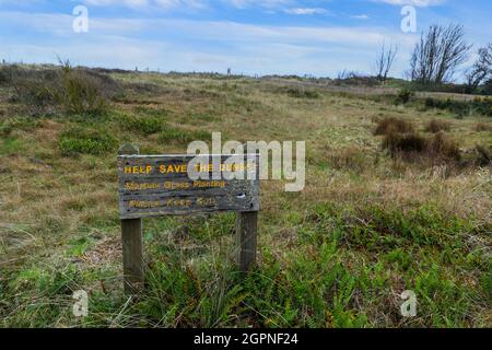 Un panneau en bois sur les dunes de sable indiquant « Save the dunes! », « Harram grass plantation » et « Please Keep Out », Dawlish Warren, Dawlish, Devon, Angleterre,ROYAUME-UNI Banque D'Images