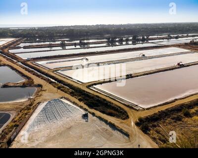 Vue aérienne de la récolte de sel de mer aux salines de Faro, Portugal Banque D'Images